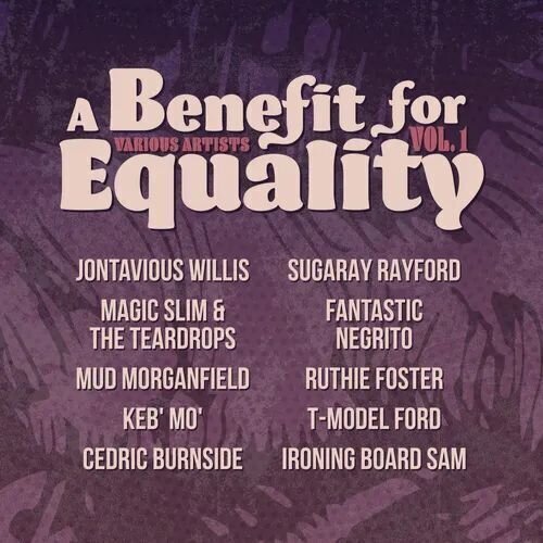 LP ploča Various Artists - A Benefit For Equality Volume 1 (Limited Edition) (LP)