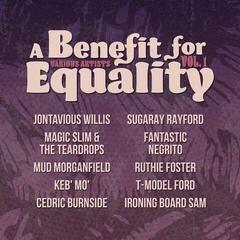 LP ploča Various Artists - A Benefit For Equality Volume 1 (Limited Edition) (LP)
