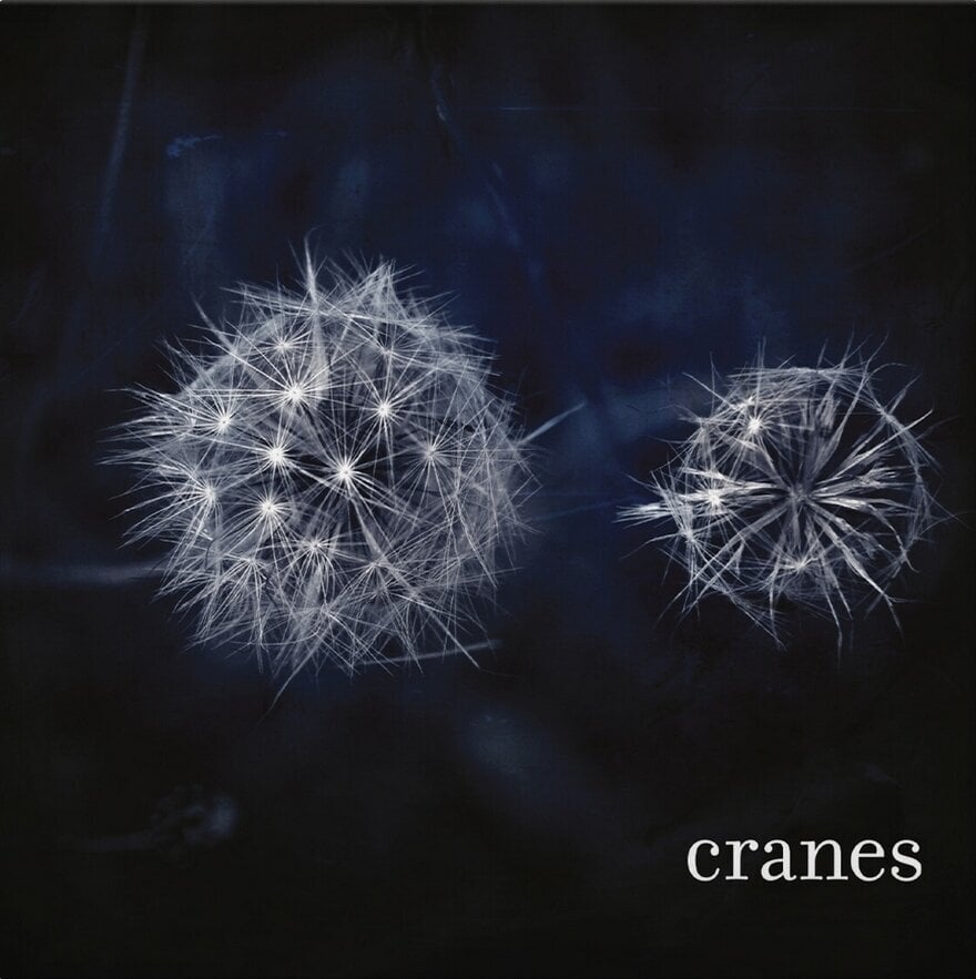 LP plošča Cranes - Cranes (Limited Edition) (Numbered) (Translucent Silver Marbled Coloured) (180 g) (LP)
