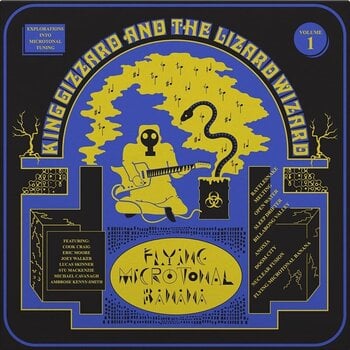 LP ploča King Gizzard & The Lizard Wizard - Flying Microtonal Banana (Explorations Into Microtonal Tuning Volume 1) (Coloured) (LP) - 1
