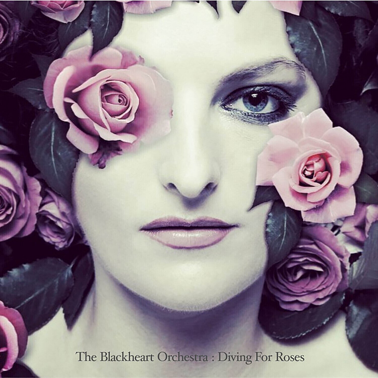 Disco de vinil Blackheart Orchestra - Diving For Roses (180g) (LP)