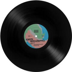 LP deska Demi Riguisimo - Windows 95 Anthem (EP)