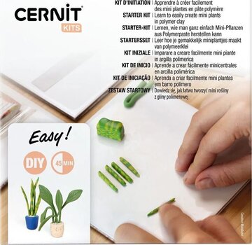 Pastă polimerică Cernit Starter Kit Pastă polimerică - 1