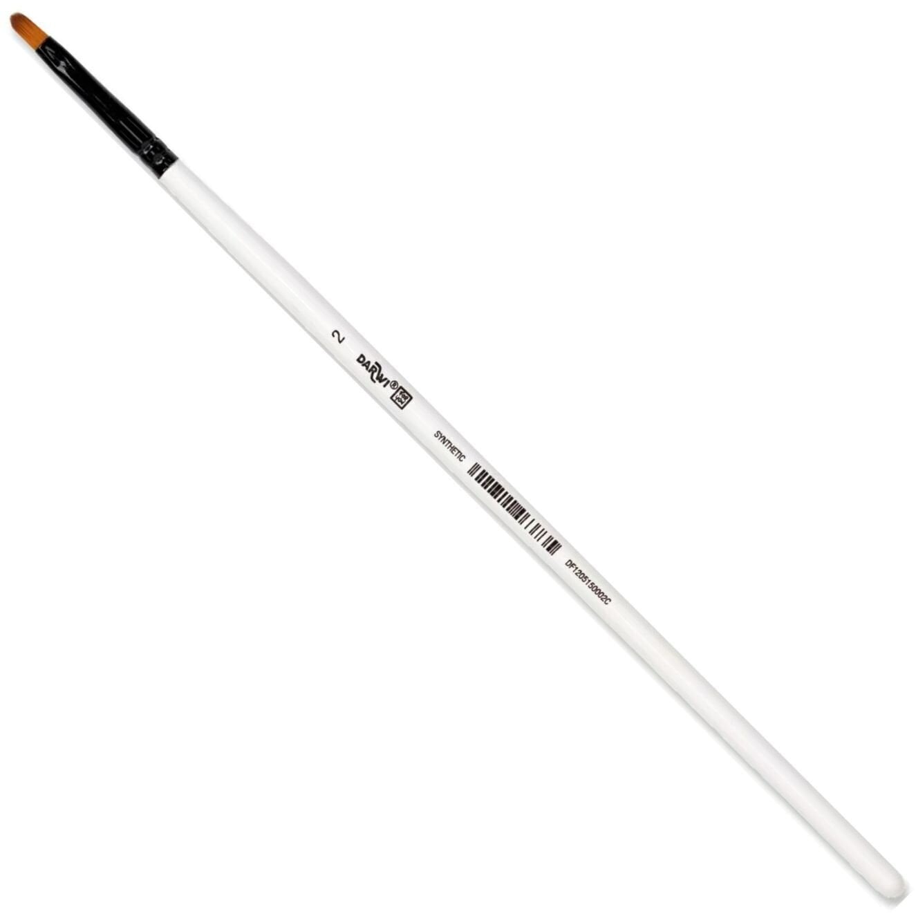 Darwi DFY Plochý štětec 2 1 ks 1 ks