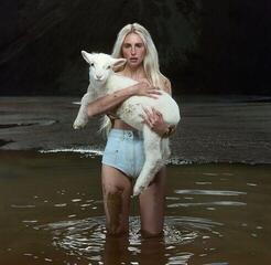 LP ploča Laurel - Palpitations (Opaque Gray Coloured) (LP)