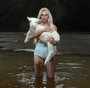 Disc de vinil Laurel - Palpitations (Opaque Gray Coloured) (LP) - 1