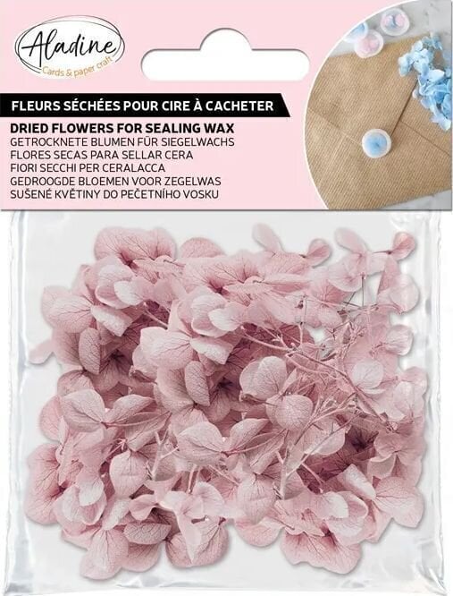 Aladine 72663 Getrocknete Blumen Powder Pink