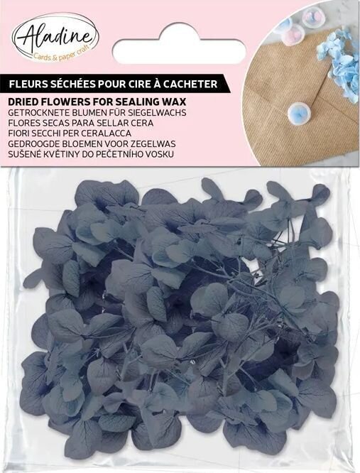Aladine 72668 Sušené kvety Dark Blue