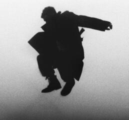 Muziek CD Del Water Gap - Chasing The Chimera (CD)