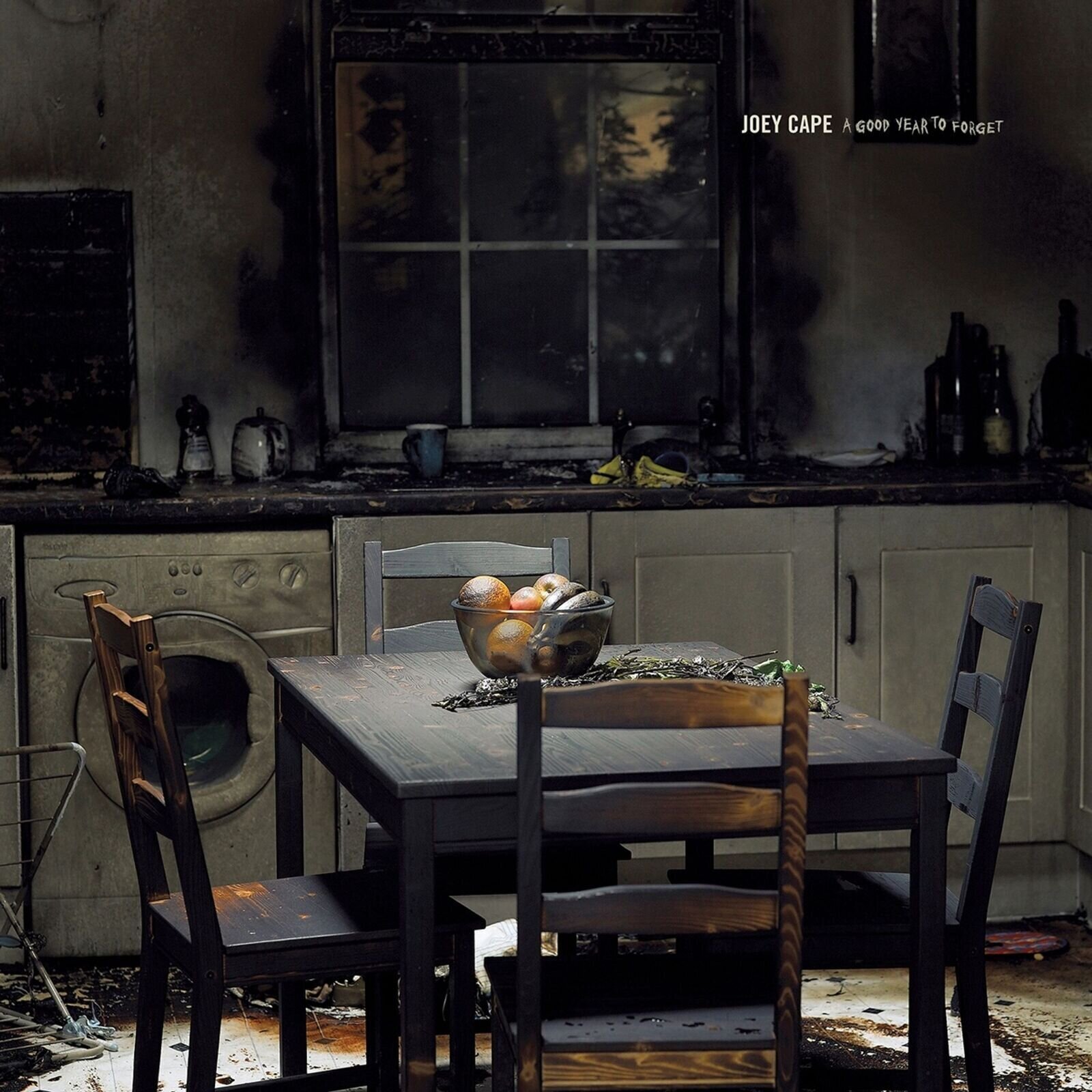 LP ploča Joey Cape - A Good Year To Forget (LP)