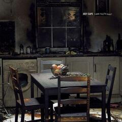 LP ploča Joey Cape - A Good Year To Forget (LP)