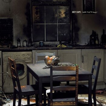 LP ploča Joey Cape - A Good Year To Forget (LP) - 1
