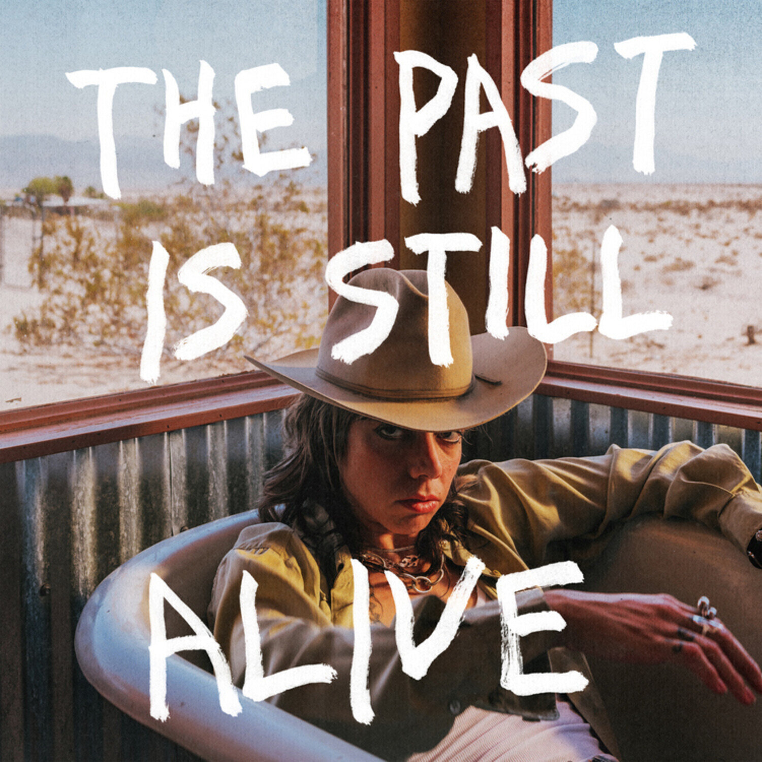 Disc de vinil Hurray For The Riff Raff - Past Is Still Alive (LP)