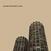 LP ploča Wilco - Yankee Hotel Foxtrot (Remastered) (2 LP)