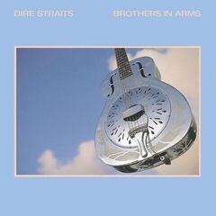 Disque vinyle Dire Straits - Brothers In Arms  (180 g) (2 LP)