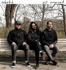 LP ploča Sebadoh - Act Surprised (LP)