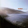 Incubus - Morning View (2 LP)