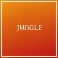 Jungle - Volcano (LP)