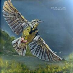 LP ploča Wildwoods - Dear Meadowlark (LP)