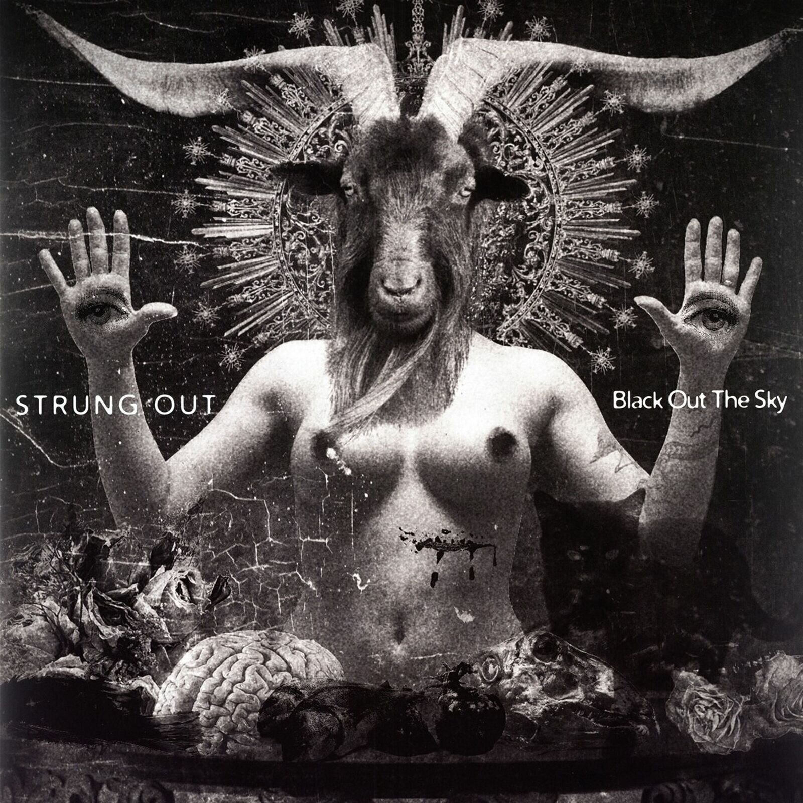 Vinüülplaat Strung Out - Black Out The Sky (LP)