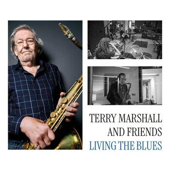 Грамофонна плоча Terry Marshall & Friends - Living The Blues (2 LP) - 1