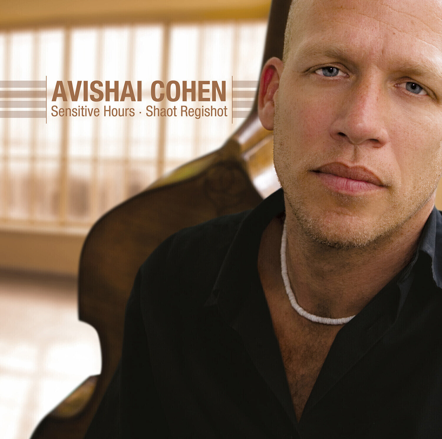 Vinyl Record Avishai Cohen - Sensitive Hours - Shaot Regishot (180g) (LP)