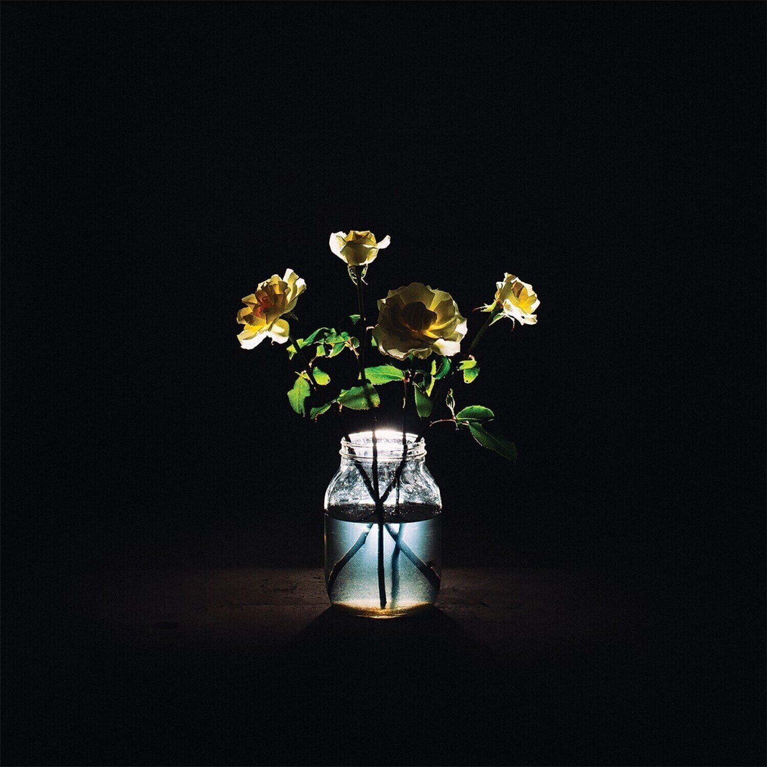 Disc de vinil Billy Strings - Renewal (180g) (2 LP)