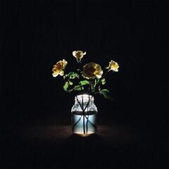 LP Billy Strings - Renewal (180g) (2 LP)