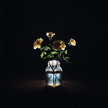 Disc de vinil Billy Strings - Renewal (180g) (2 LP) - 1