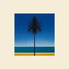 Vinyl Record Metronomy - English Riviera (LP)