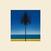 Vinylplade Metronomy - English Riviera (LP)