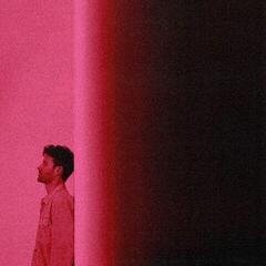 Vinüülplaat Vandelux - Closer (Gatefold Sleeve) (White Coloured) (LP)