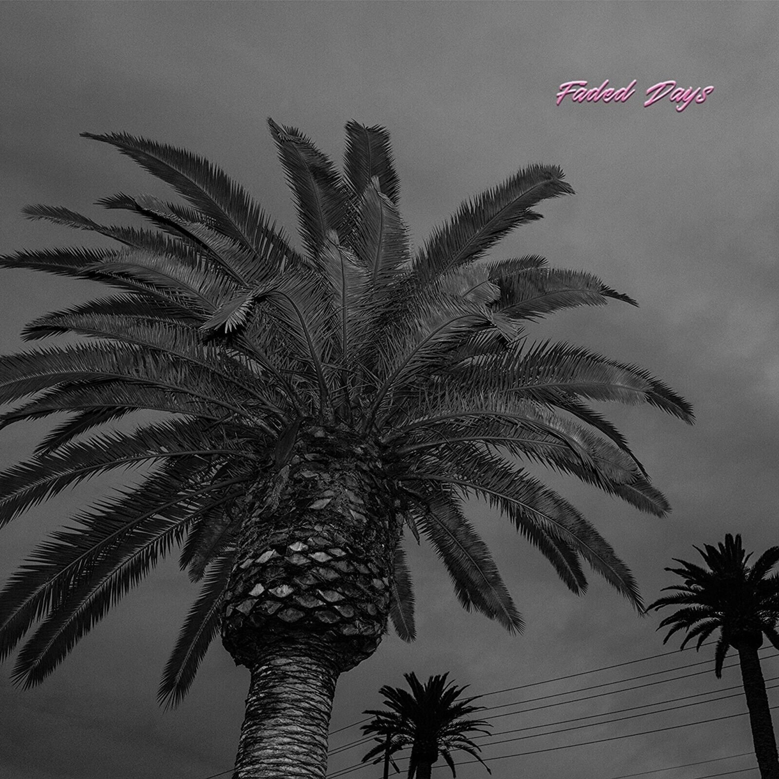 LP ploča Actual Wolf - Faded Days (LP)