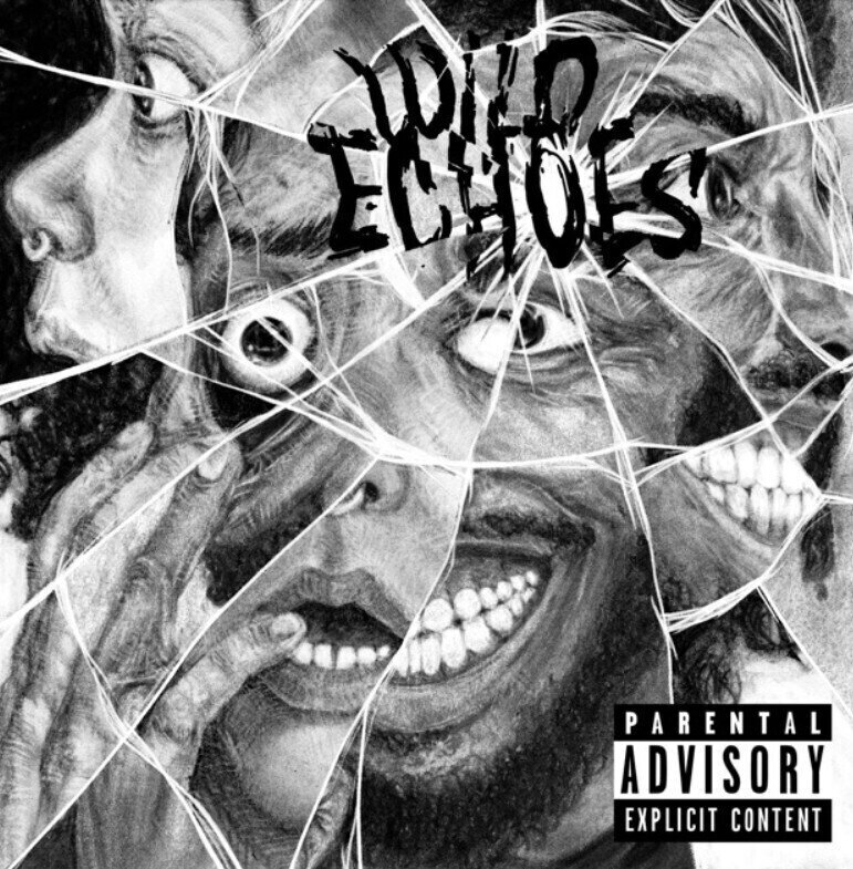 LP ploča Black Creatures - Wild Echoes (LP)