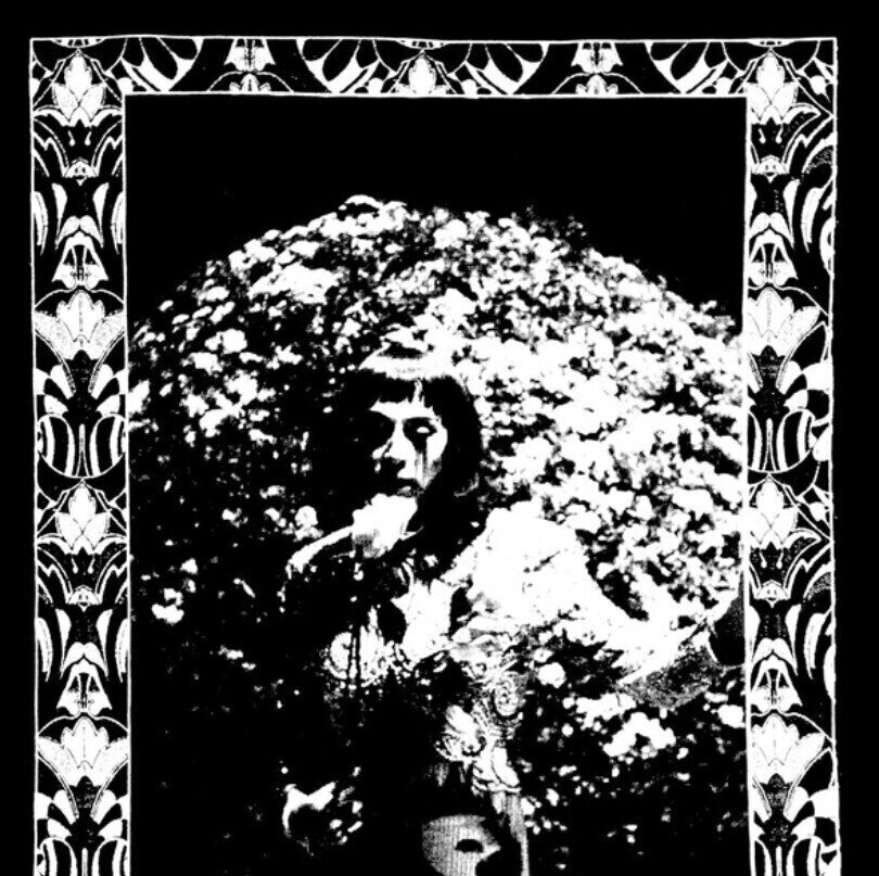 LP ploča Cindy Lee - Model Express (LP)