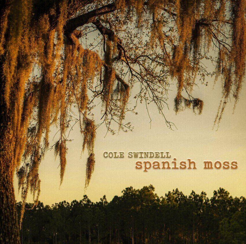 Disc de vinil Cole Swindell - Spanish Moss (2 LP)