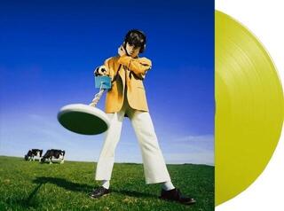 LP plošča Declan McKenna - What Happened To The Beach? (Yellow Coloured) (LP)