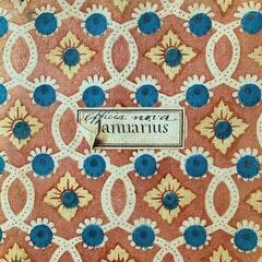 LP ploča Matty & Mandaworld - Warm You Spoon Feed (7" Vinyl)