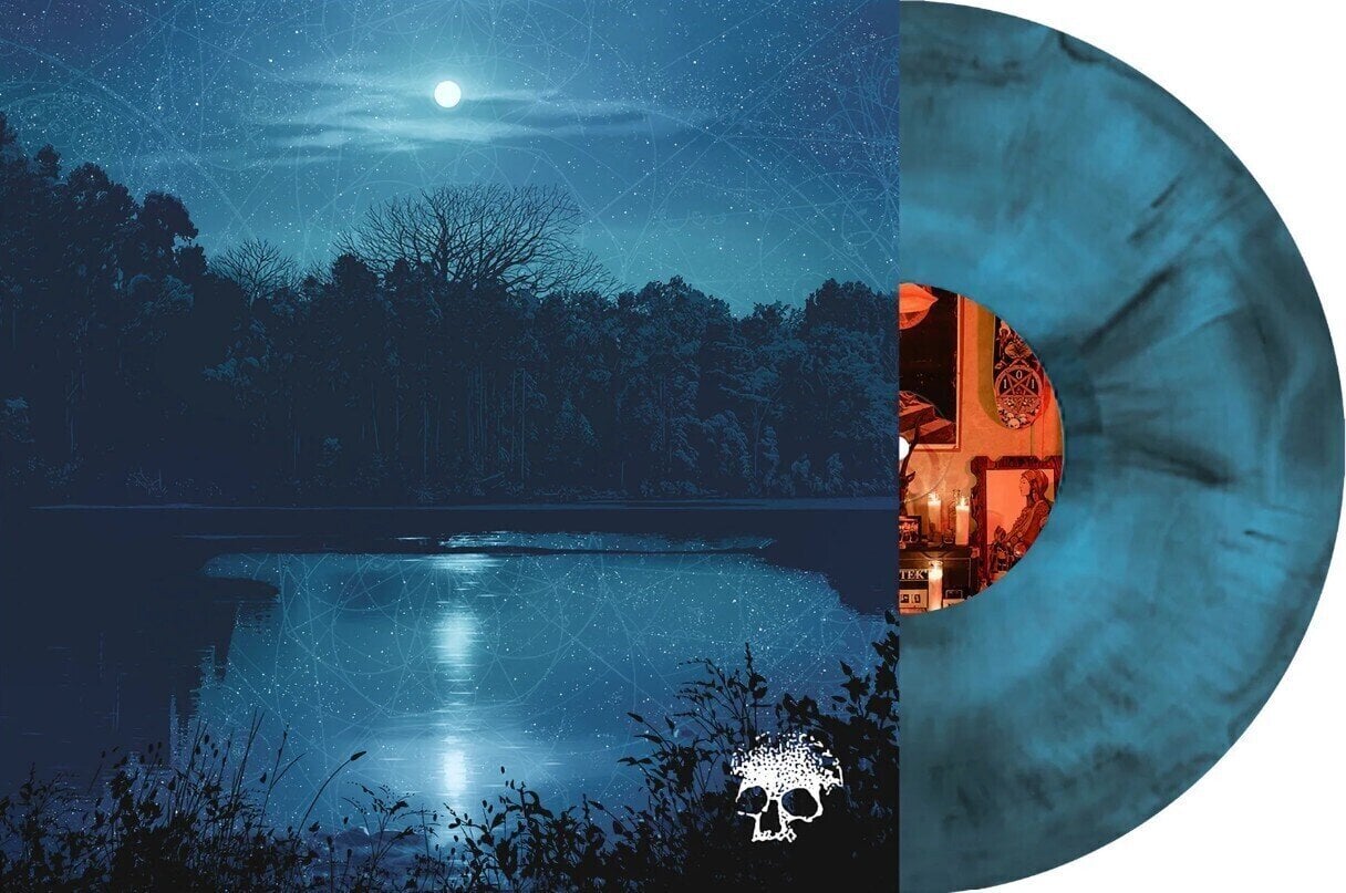 Disc de vinil Planes Mistaken For Stars - Do You Still Love Me? (Blue Coloured) (LP)