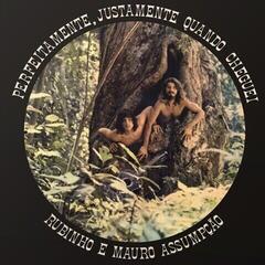 LP ploča Rubinho E Mauro Assumpcao - Perfeitamente, Justamente Quando Cheguei (LP)