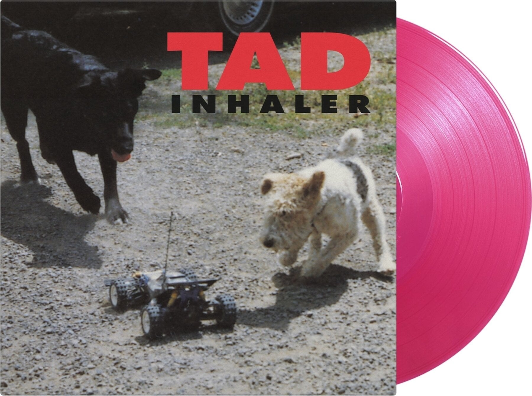 Disc de vinil Tad - Inhaler (Limited Edition) (Magenta Coloured) (LP)