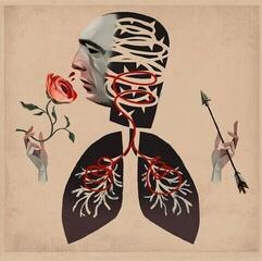 LP ploča Hot Water Music - Vows (LP)