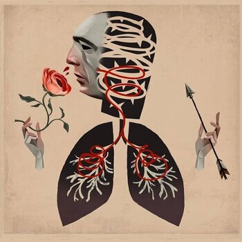 Schallplatte Hot Water Music - Vows (LP) - 1