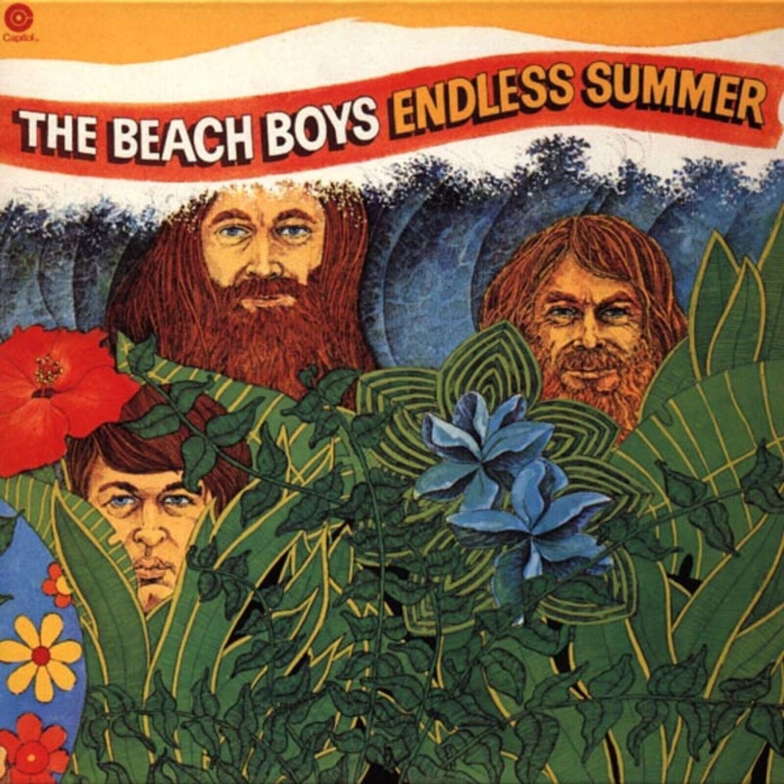 Disc de vinil The Beach Boys - Endless Summer (Limited Edition) (180 g) (2 LP)