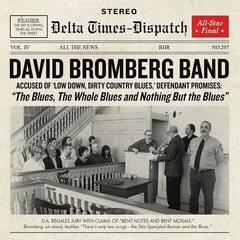 LP platňa David Bromberg - Blues The Whole Blues & Nothing But The Blues (LP)