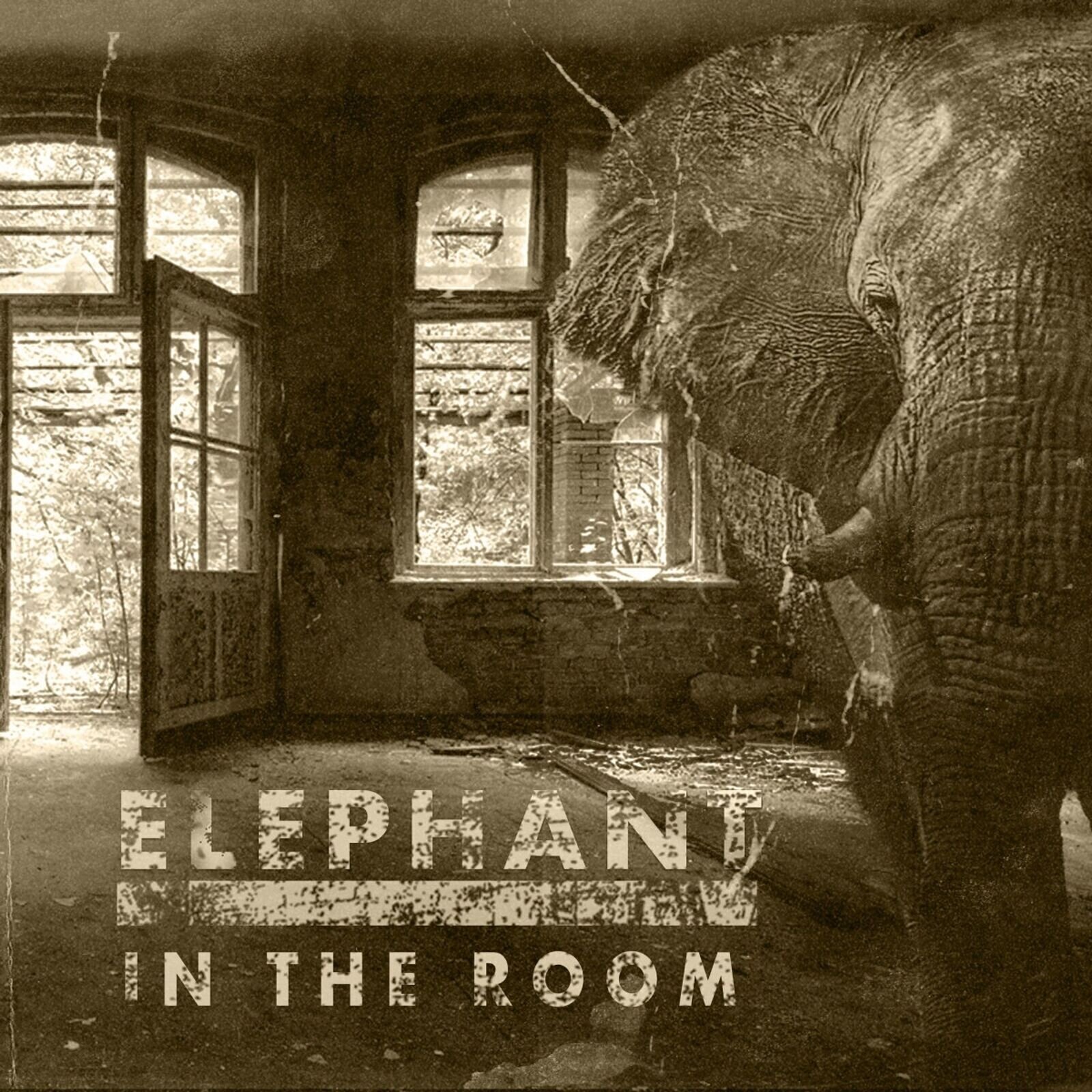 Disc de vinil Blackballed - Elephant In The Room (LP)