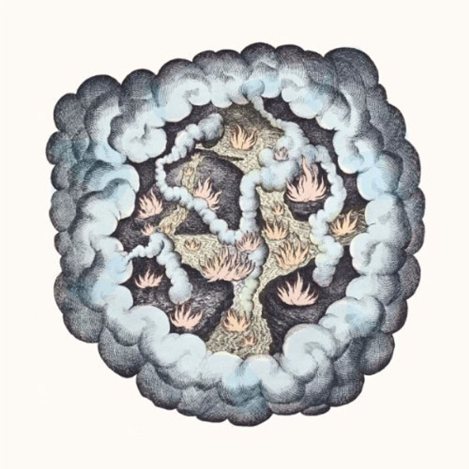 LP ploča Tw Walsh - Songs Of Pain & Leisure (LP)