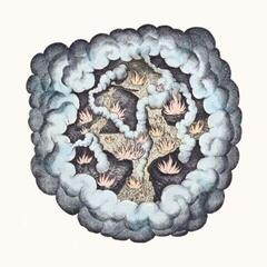 LP plošča Tw Walsh - Songs Of Pain & Leisure (LP)