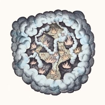 LP ploča Tw Walsh - Songs Of Pain & Leisure (LP) - 1