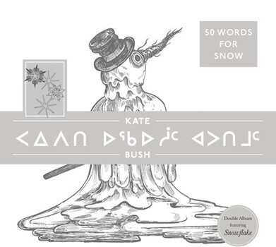 LP ploča Kate Bush - 50 Words For Snow (Polar Edition) (180 g) (2 LP) - 1